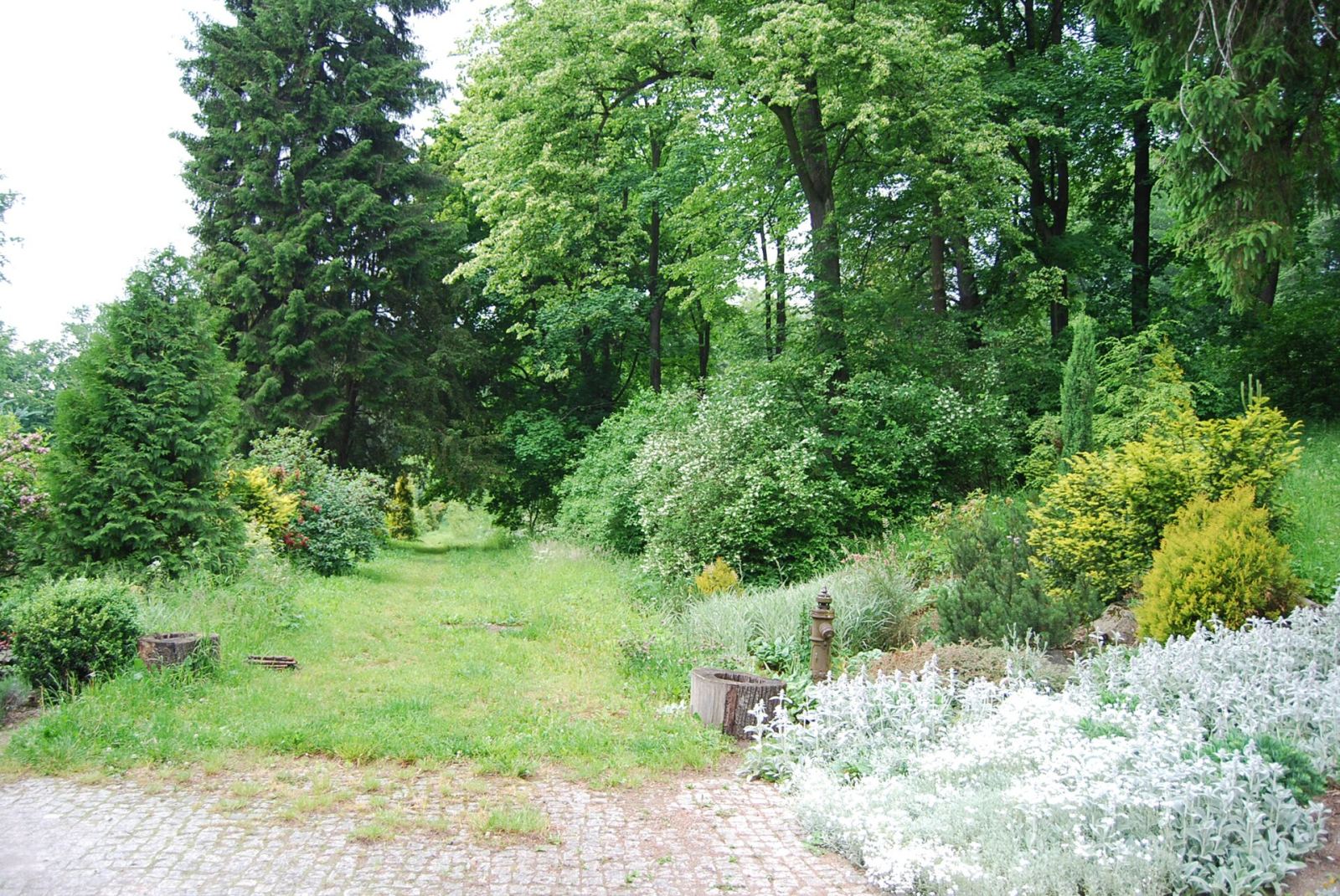 Park, Komarno