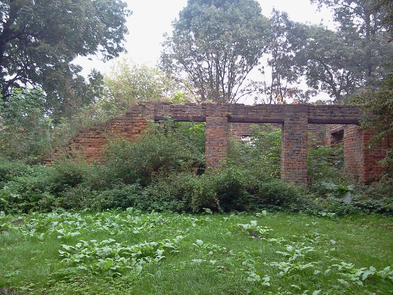 Ruina spichlerza, Moroczyn