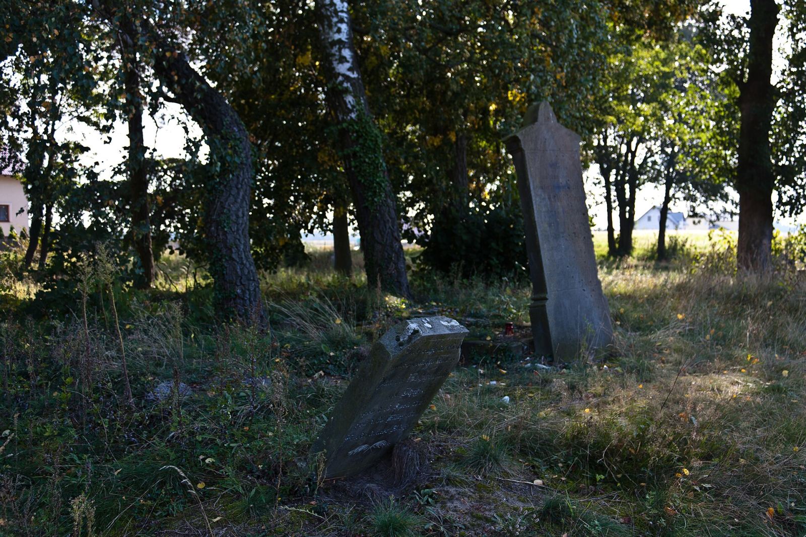 Cmentarz żydowski z aleją, Starogard Gdański