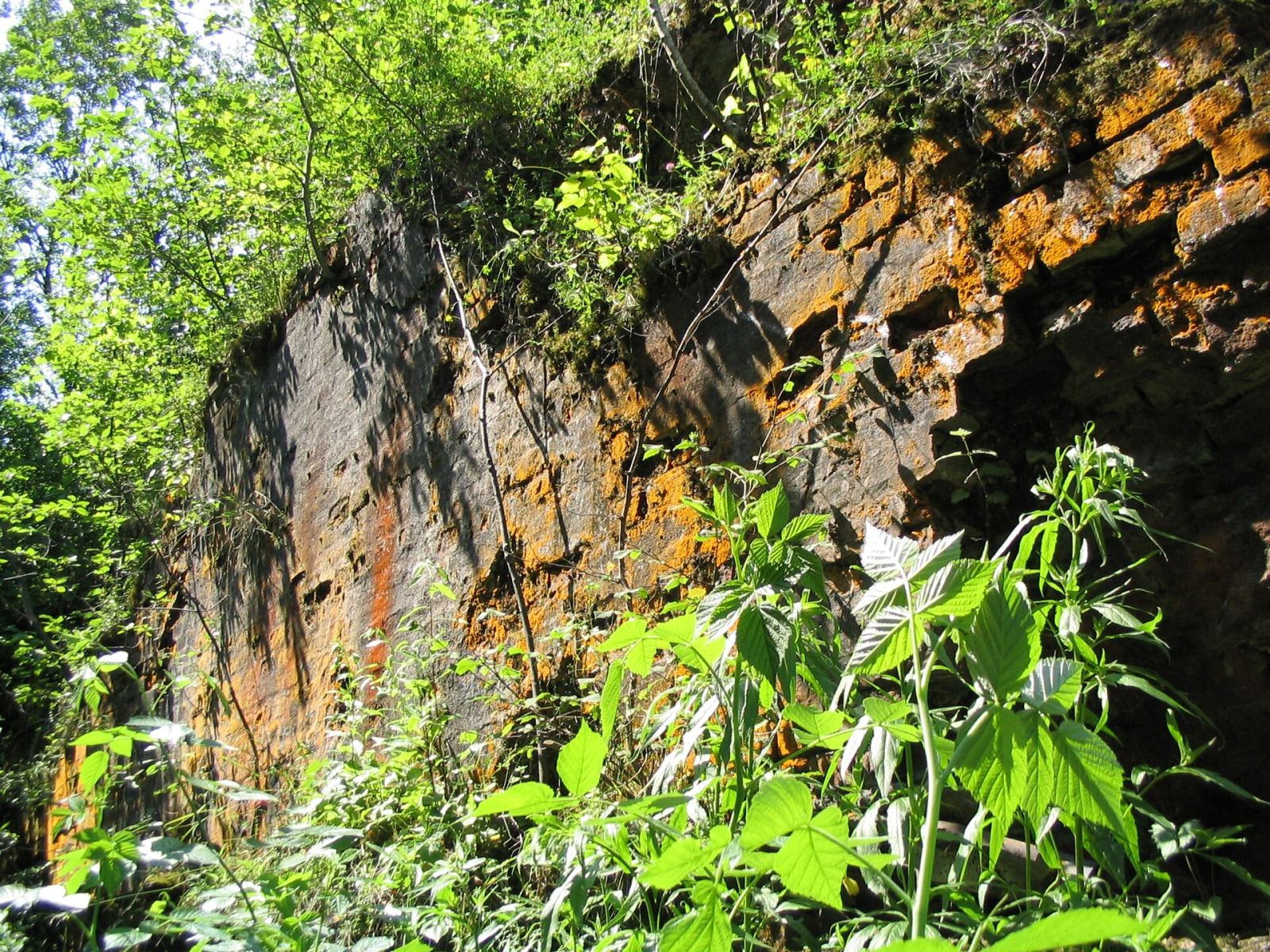 Fort IV Optyń, Pikulice