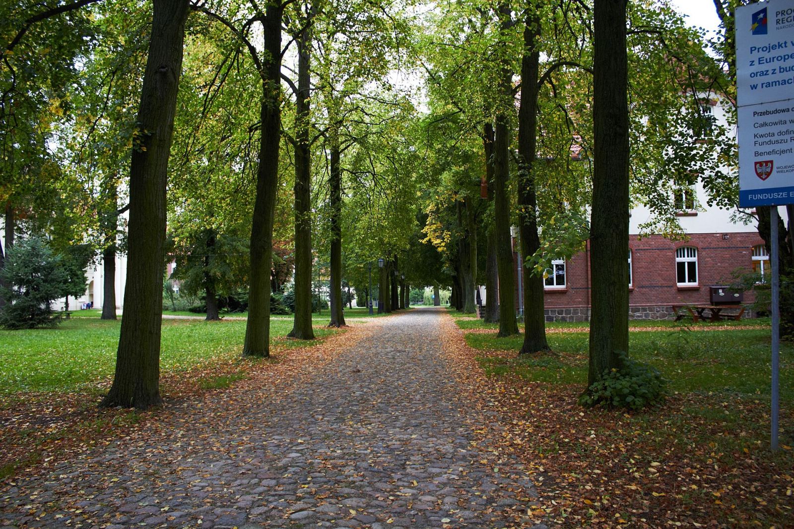 Park, Cerekwica Nowa