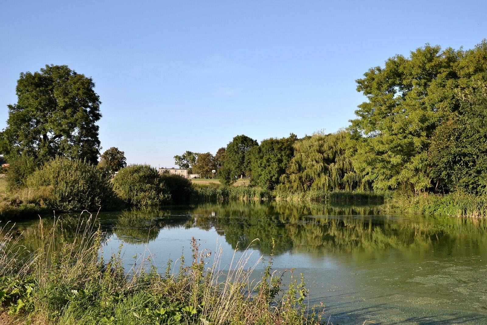 Park dworski, krajobrazowy, Malczewo