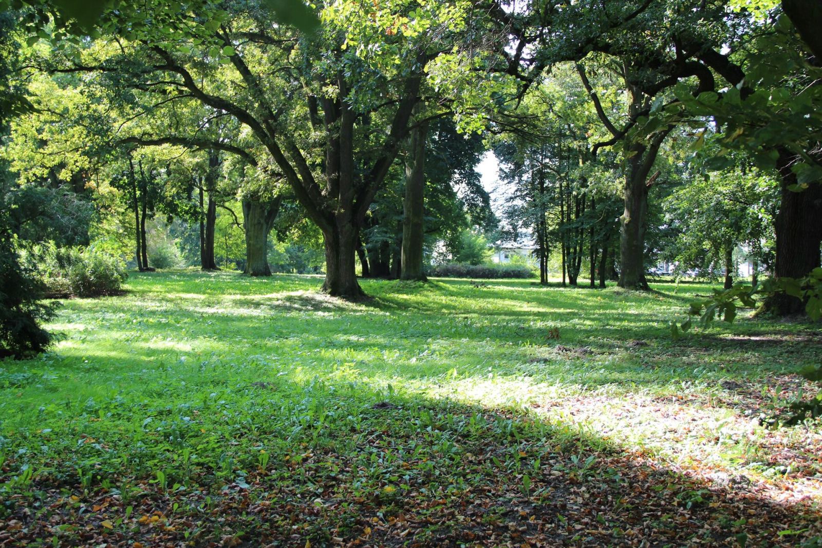 Park, Osmolice Pierwsze
