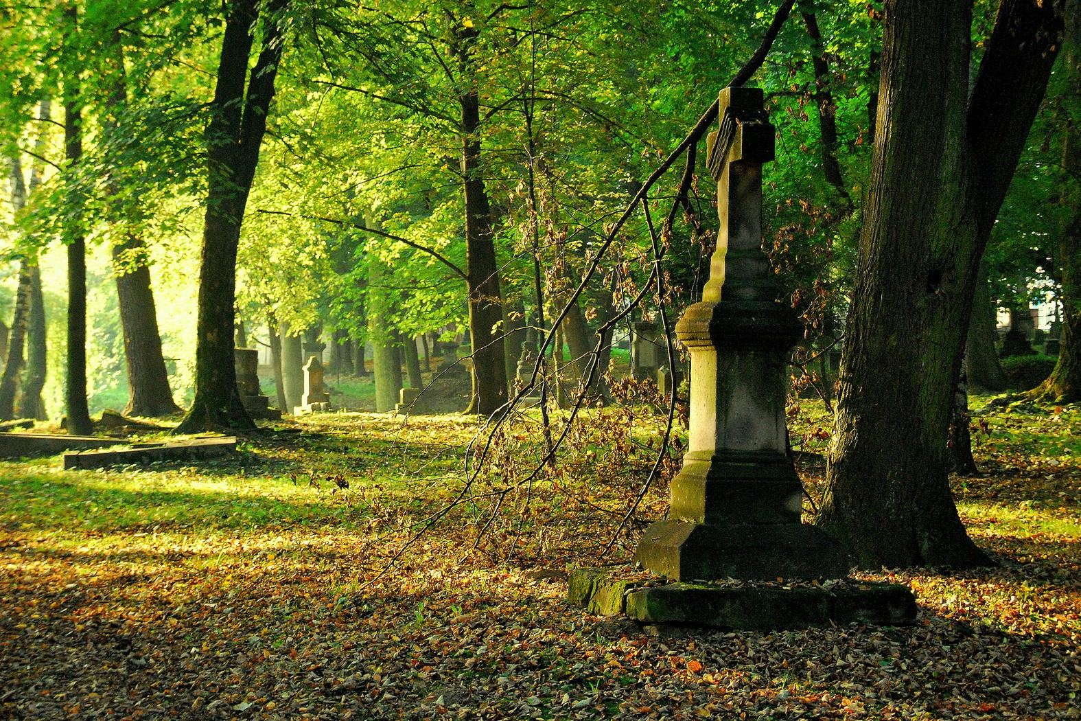 Cmentarz rzymskokatolicki, Krosno