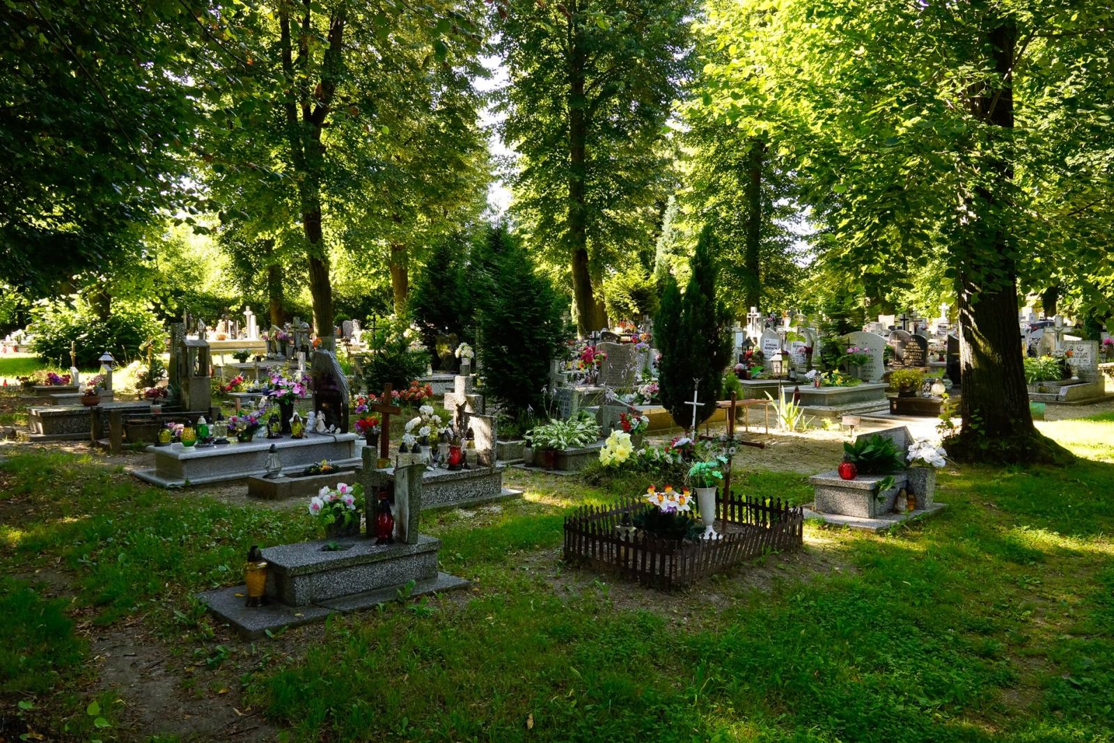 D. cmentarz ewangelicki, Jędrzychowice